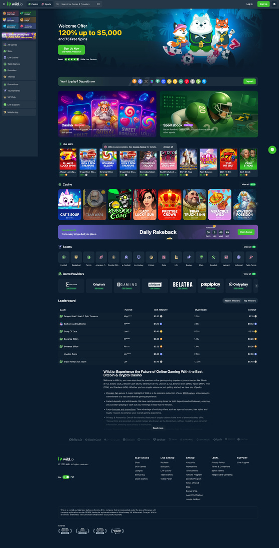 Online gambling website: Payment method and UI speed evaluated on different devices and web browsers, video recording made during the process. Wild.io website