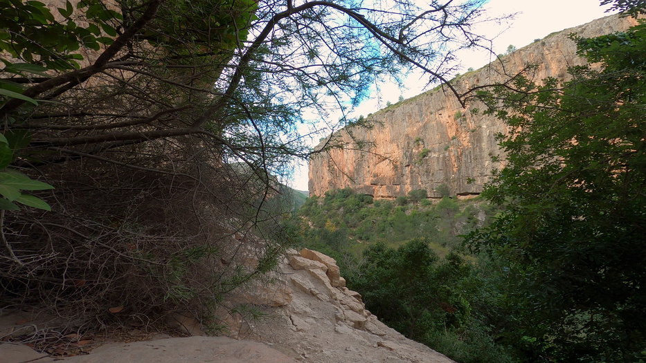 Video-audio recording: I offer a comprehensive suite of visual solutions, capturing the beauty of landscapes. My advanced stabilization techniques guarantee smooth and dynamic visuals. Video on YouTube