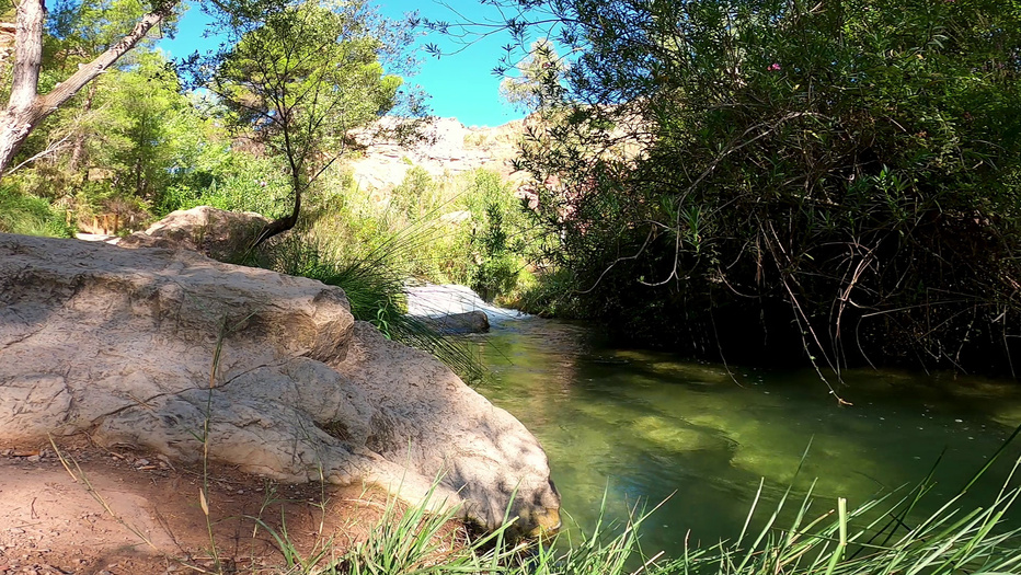 Video-audio recording: I offer a comprehensive suite of visual solutions, capturing the beauty of landscapes. My advanced stabilization techniques guarantee smooth and dynamic visuals. Video on YouTube