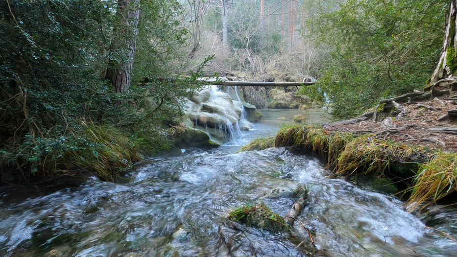 Video-audio recording: I offer a comprehensive suite of visual solutions, capturing the beauty of landscapes. My advanced stabilization techniques guarantee smooth and dynamic visuals. Video on YouTube