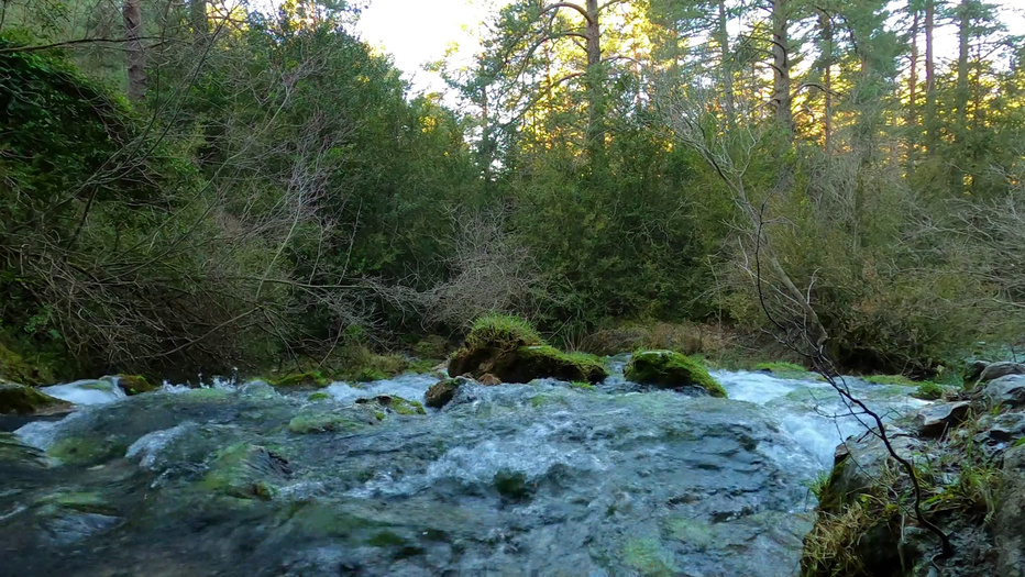 Video-audio recording: I offer a comprehensive suite of visual solutions, capturing the beauty of landscapes. My advanced stabilization techniques guarantee smooth and dynamic visuals. Video on YouTube